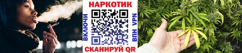 Псилоцибиновые грибы Ветлуга