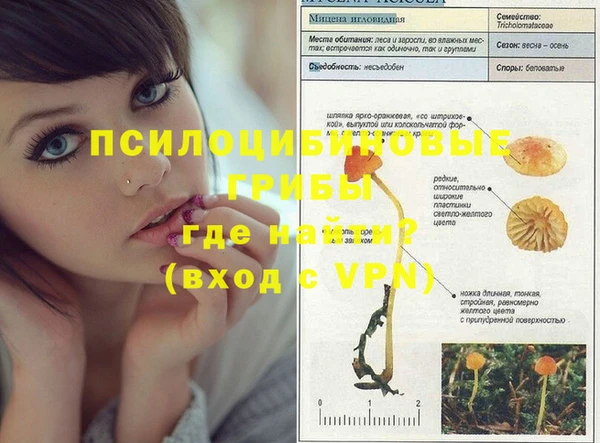 метадон Верея
