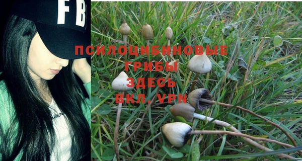 метадон Верея
