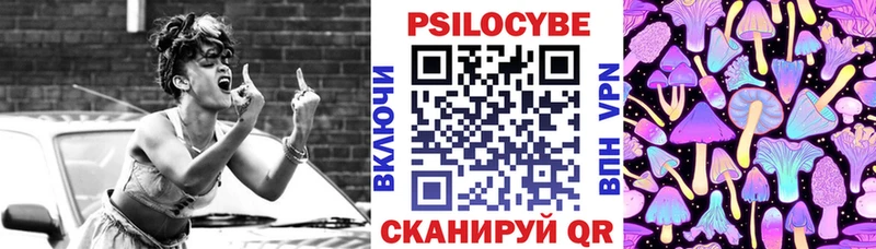 Псилоцибиновые грибы мицелий  кракен как войти  Ветлуга 